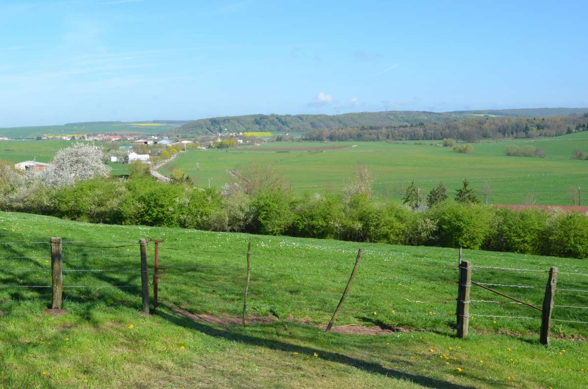 DIAPORAMA