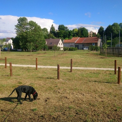 Finalisation parcours de santé